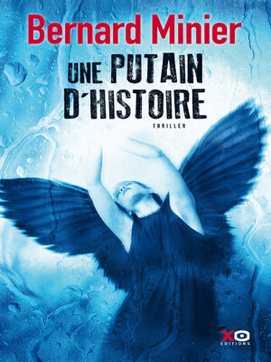 cover image of Une putain d'histoire
